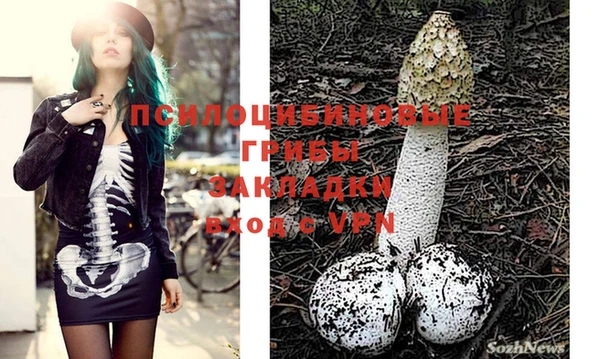 спиды Абинск