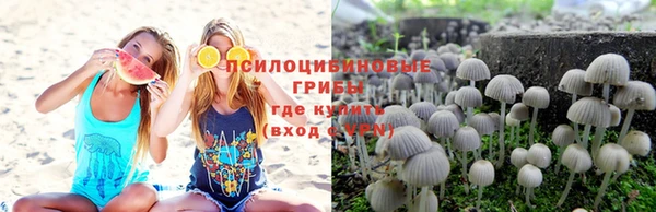 спиды Абинск