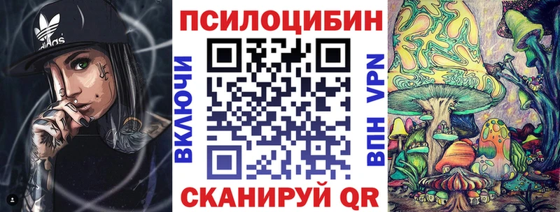 наркотики Уржум Псилоцибиновые грибы Psilocybine cubensis